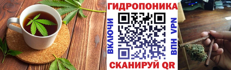 мега tor  наркотики  Гаврилов-Ям  Cannafood конопля 