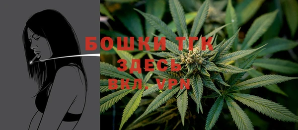 тгк Беломорск