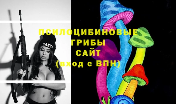 ECSTASY Бронницы
