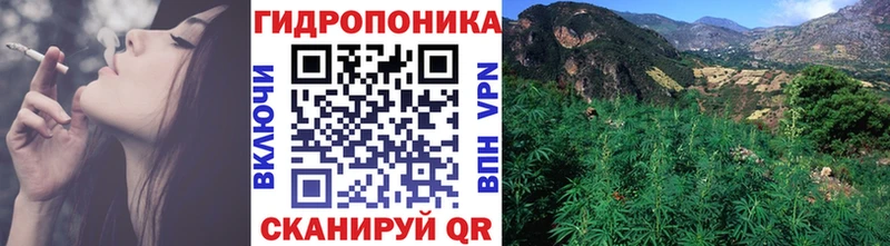 Каннабис план  Гаврилов-Ям 